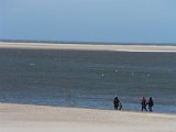 IMG 0065