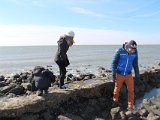 IMG 0069