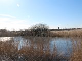 IMG 0080
