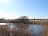IMG 0082