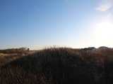 IMG 0128