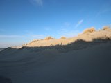 IMG 0131