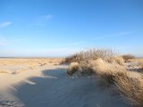 IMG 0132
