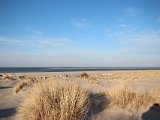 IMG 0134