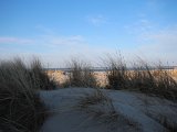 IMG 0135