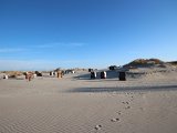 IMG 0139