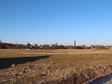 IMG 0201