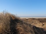 IMG 0224