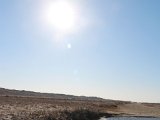 IMG 0231