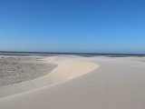 IMG 0232