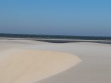 IMG 0233