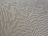 IMG 0234