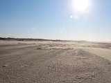 IMG 0235