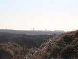 IMG 0238