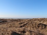 IMG 0239