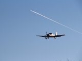 IMG 0244