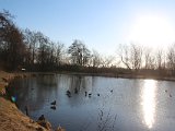 IMG 0247