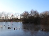 IMG 0248
