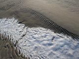 IMG 0266
