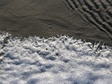 IMG 0267