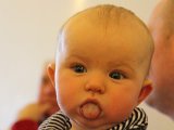IMG 0293