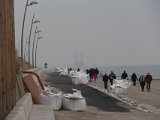 IMG 0304