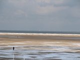 IMG 0326