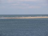IMG 0328